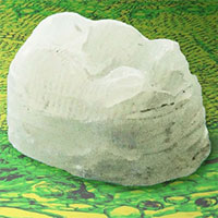 Vật chất rắn chắc nguồn gốc thực vật: Thay được nhựa, dùng trong in 3D hay đúc khuôn đều được