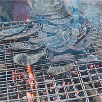 Đốt bồ kết có tác dụng gì?