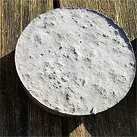 Bê tông tiếp nhận sinh học thúc đẩy rêu mọc