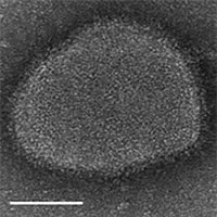 Công nghệ lưu trữ vaccine nhiều tháng không cần tủ lạnh