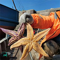 Ngư dân Trung Quốc sợ hãi vì 