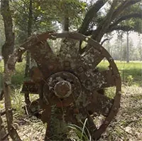Bí mật đường sắt ngầm - Cuộc đào thoát tìm tự do của nô lệ ở miền Nam nước Mỹ