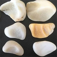 Đào ao ở sân sau, lão nông tình cờ đụng trúng sinh vật biển cổ đại hóa ngọc cực hiếm