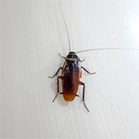 Biến đổi khí hậu giúp 