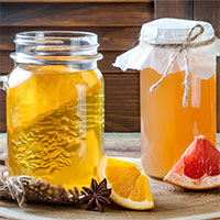 Nấm men trong trà Kombucha có thể dùng để tạo màng lọc nước bền vững với môi trường