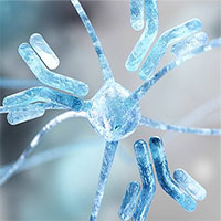 Kháng thể đơn dòng là gì?