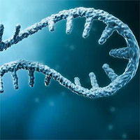 Phương pháp xét nghiệm DNA có thể phát hiện cùng lúc nhiều bệnh di truyền