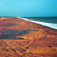 Tại sao bãi biển tuyệt đẹp như này lại không một ai dám xuống tắm?