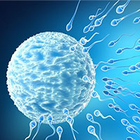 Các nhà khoa học khám phá cách in 3D tế bào tinh hoàn