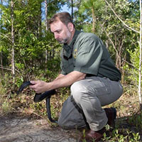 Loài rắn có chiều dài khủng nhất Bắc Mỹ quay trở lại sau hàng thập kỷ