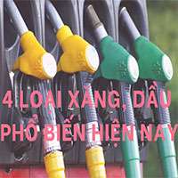 Tìm hiểu về những loại xăng, dầu phổ biến nhất hiện nay