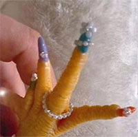 Chú gà trống được chủ làm cho bộ nail hoàng tráng gây sốt mạng xã hội