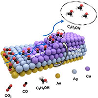 Trung Quốc tìm ra bí quyết thu giữ carbon mới