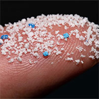 Lần đầu phát hiện hạt vi nhựa trong máu người