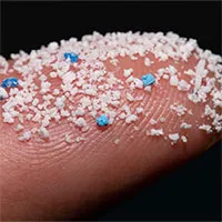 Lần đầu phát hiện hạt vi nhựa trong máu người