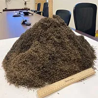 16 khoảnh khắc thú vị mà ít người có cơ hội được chiêm ngưỡng, phải chụp lại để lan tỏa sự phấn khởi