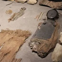 Xác ướp cổ nhất thế giới đang phân hủy do ảnh hưởng của biến đổi khí hậu