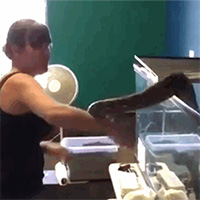 Kinh hãi khoảnh khắc trăn bất ngờ tấn công chủ khi đang được cho ăn