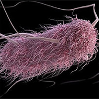 Vi khuẩn điều khiển bằng âm thanh tiêu diệt tế bào ung thư