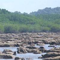 Sau hơn 100 năm, mực nước ở Biển Đông tăng 150mm