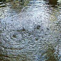 Lạ kỳ hồ nước sôi quanh năm nhưng vẫn mát lạnh ở Vĩnh Long