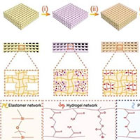 Trung Quốc phát triển sụn khớp nhân tạo có tính ứng dụng cao