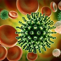 Virus đến từ đâu và chúng có phải là sinh vật sống hay không?