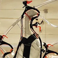Đây là viễn cảnh loài gà được nuôi nhốt như cách con người phải trải qua trong phim The Matrix