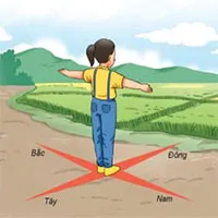 Nơi bạn lớn lên có thể hình thành kỹ năng xác định phương hướng của bạn