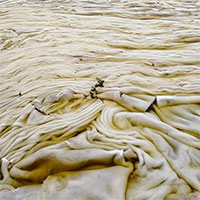 Hiện tượng hiếm gặp: 