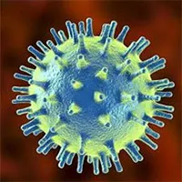 Virus thực khuẩn - Loại virus có thể cứu sống hàng triệu người