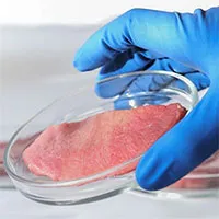 Kỳ lạ cây thuốc lá giúp sản xuất thịt nhân tạo ít tốn kém hơn