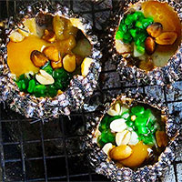 Vì sao nhum biển không hiếm nhưng vẫn đắt?