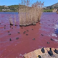 Nước biển bỗng chuyển thành màu đỏ quanh siêu núi lửa