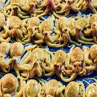 Siêu trang trại bạch tuộc đầu tiên trên thế giới vấp phải sự phản đối của giới khoa học