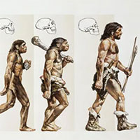 Khí hậu đã hình thành sự tiến hóa của loài người như thế nào?