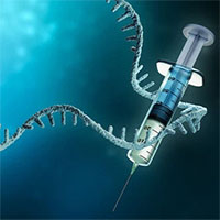 Công nghệ mRNA có thể giúp điều trị bệnh đau tim
