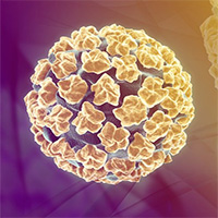 Những lầm tưởng về virus HPV khiến dân công sở sợ không dám đi vệ sinh công cộng