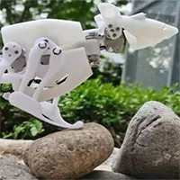 Thiết kế mẫu chuột robot tìm người sống sót ở vùng thiên tai
