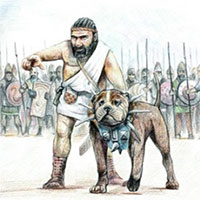 Chiến cẩu: Niềm tự hào và kết cục bi thương