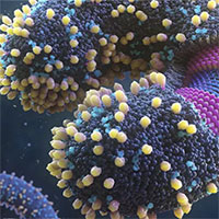 Nhiều phát hiện mới đáng lo: Virus ngày càng nguy hiểm với loài người