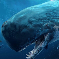 Điều gì xảy ra nếu cá mập Megalodon đối đầu cá voi thủy quái?