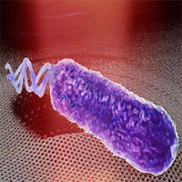 Phát hiện mới: Vi khuẩn phát ra âm thanh, chỉ tắt tiếng khi gặp kháng sinh