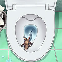 Những sinh vật có thể đột nhập vào nhà vệ sinh và khiến bạn 