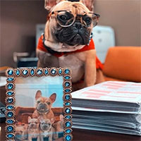 Kỳ lạ thị trấn suốt 20 năm bầu cử chó làm thị trưởng, riêng kết quả bỏ phiếu mới nhất lại gây bất ngờ