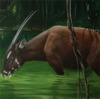 Linh vật SEA Games 31 - loài thú cổ đại được cho là bí ẩn nhất thế giới