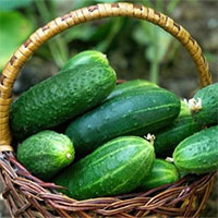 Top 8 thực phẩm giảm thèm ăn, tăng đốt mỡ