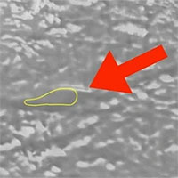 Dùng sóng radar, khoa học bất ngờ với thứ nằm bên dưới lớp băng ở Nam Cực