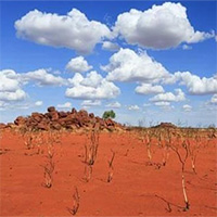 Tác nhân chính gây ra các đợt nắng nóng cực đoan trên toàn cầu