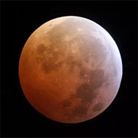 Cùng chờ đón xem nguyệt thực hoa cuối tuần này